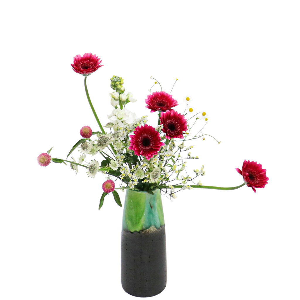 H.花瓶スタータープラスコース [2026年1月 - 3回目]