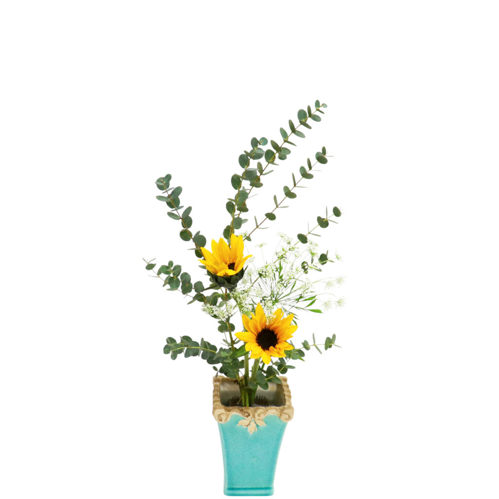 S.プラスONE 切り花S [2026年1月 - 3回目]