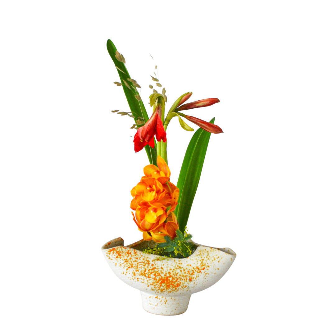 Z.水盤スタンダードコース [2026年1月 - 3回目]