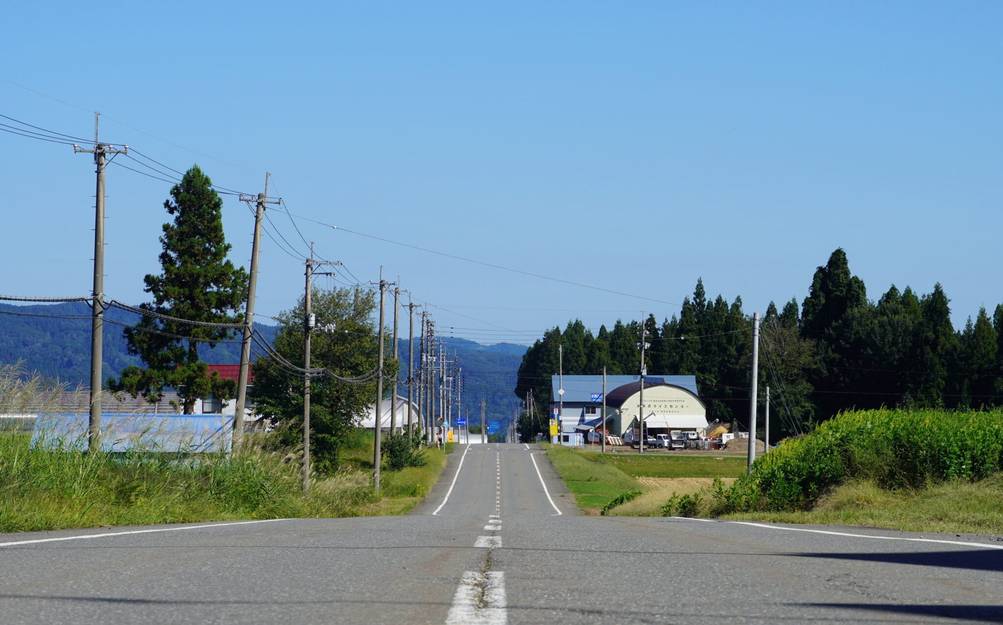 和暦 花の風コース