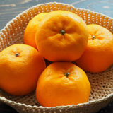 2026年 さんらいふ生活１月号