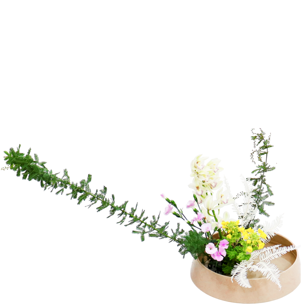 F.花瓶・水盤スターターコース [2026年1月 - 2回目]