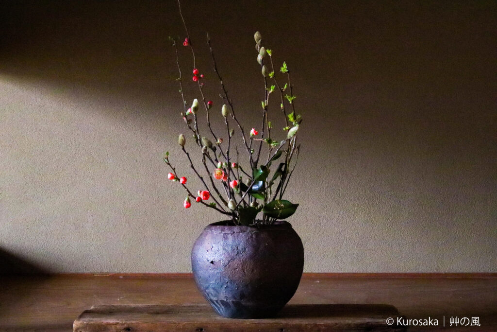 和暦 花の風コース