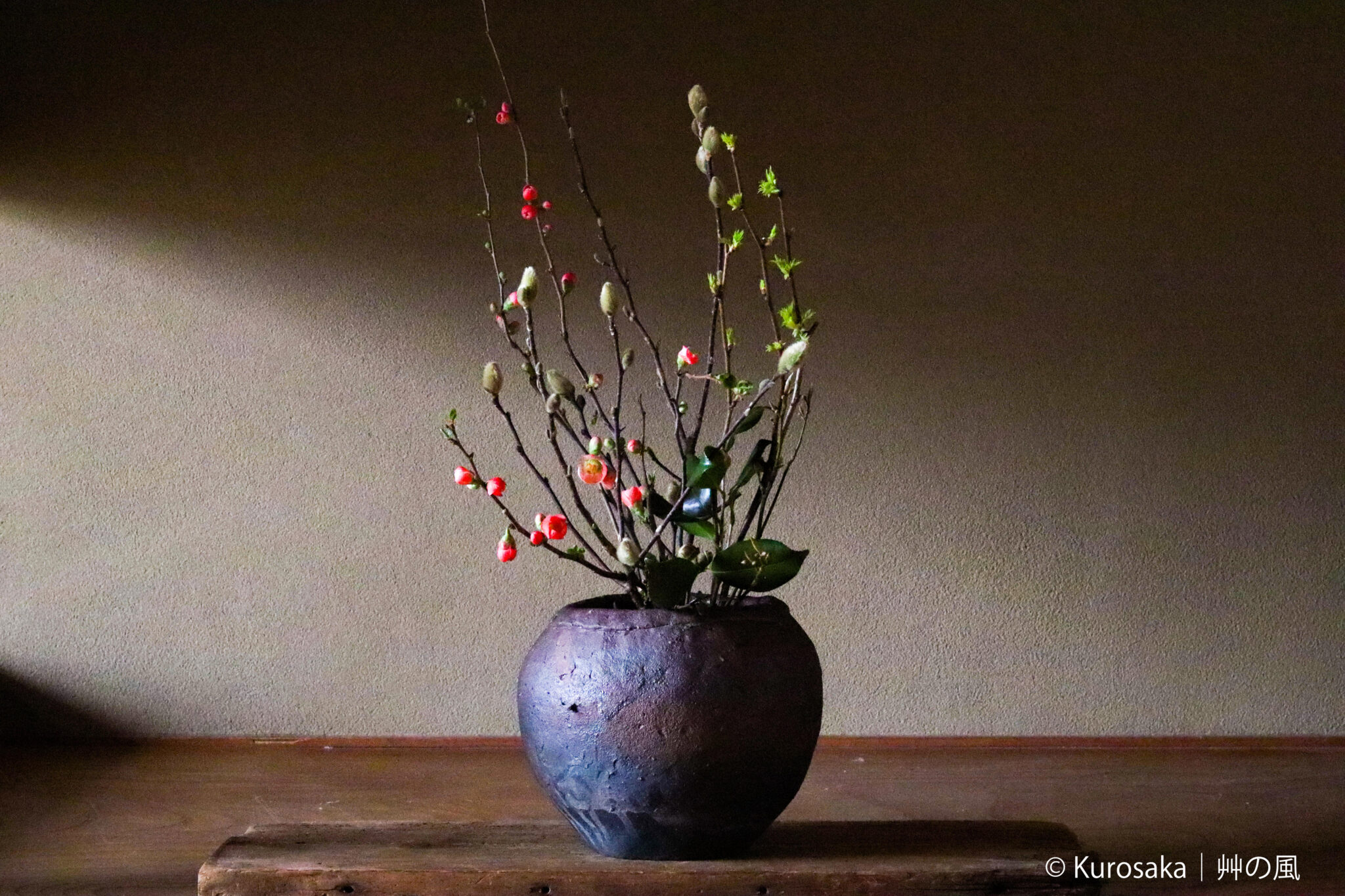 和暦 花の風コース