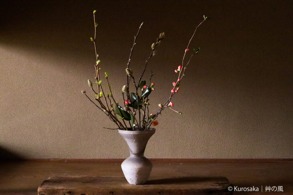 和暦 花の風コース