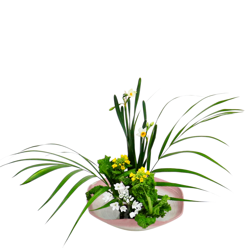 A.花瓶・水盤バラエティーコース [2026年1月 - 1回目]