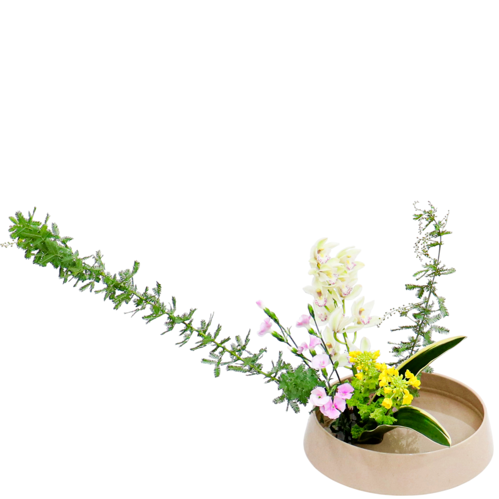 F.花瓶・水盤スターターコース [2026年1月 - 2回目]