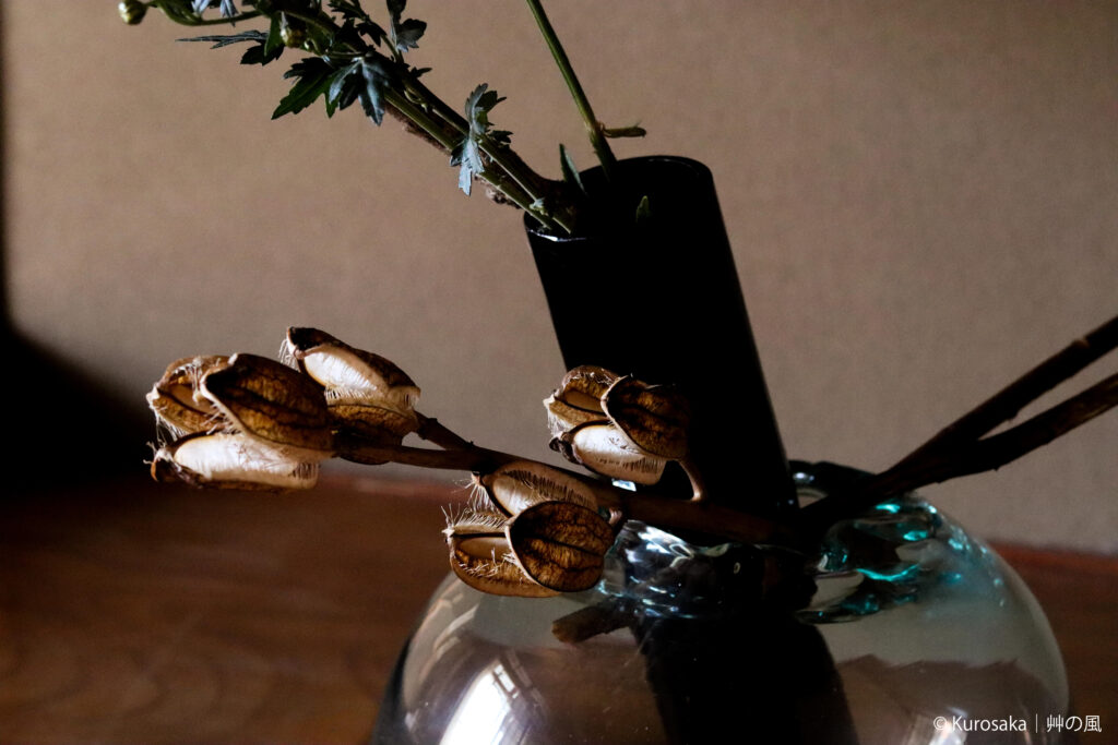 和暦 花の風コース