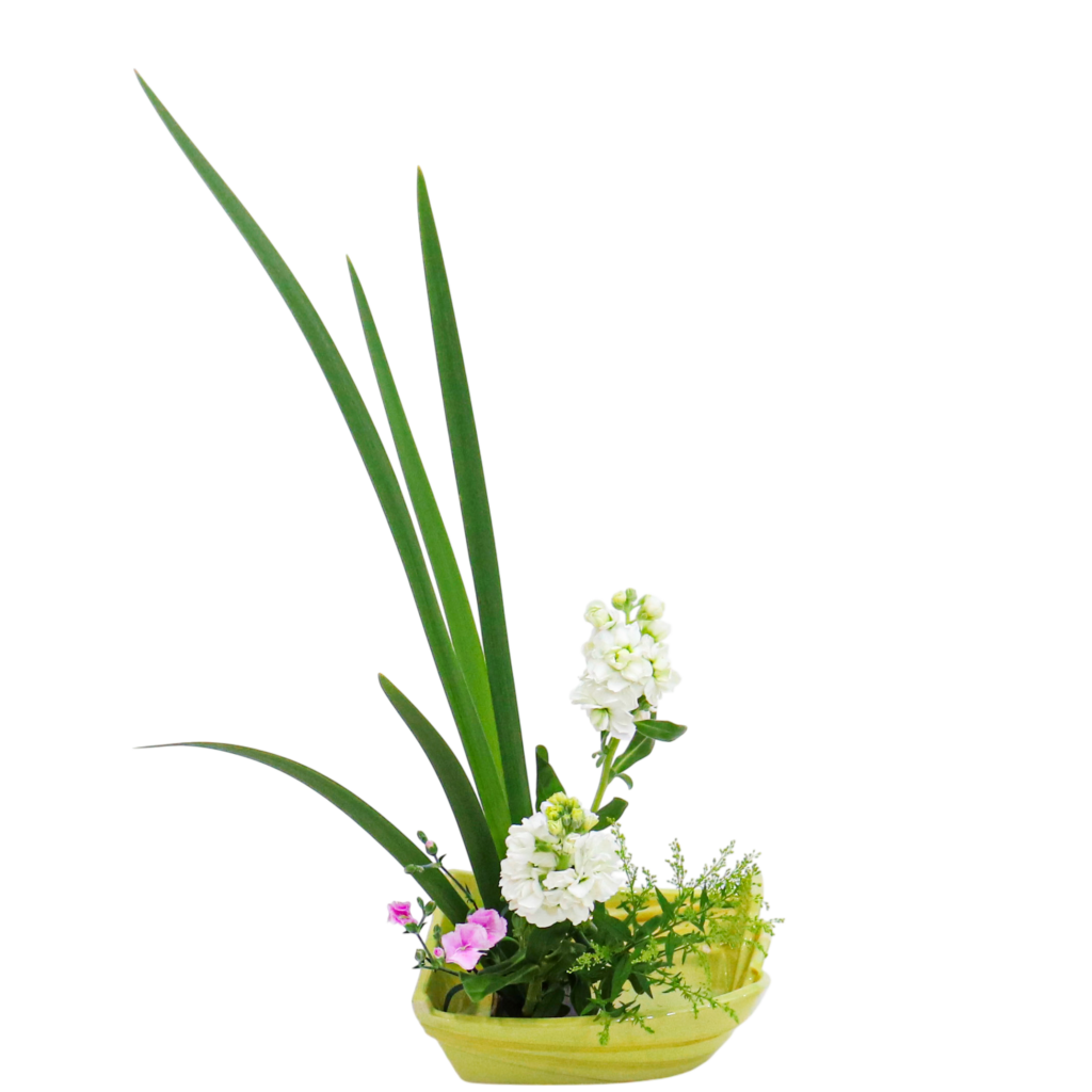 A.花瓶・水盤バラエティーコース [2026年2月 - 2回目]