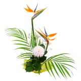 C.水盤スターターコース [2026年2月 - 1回目]