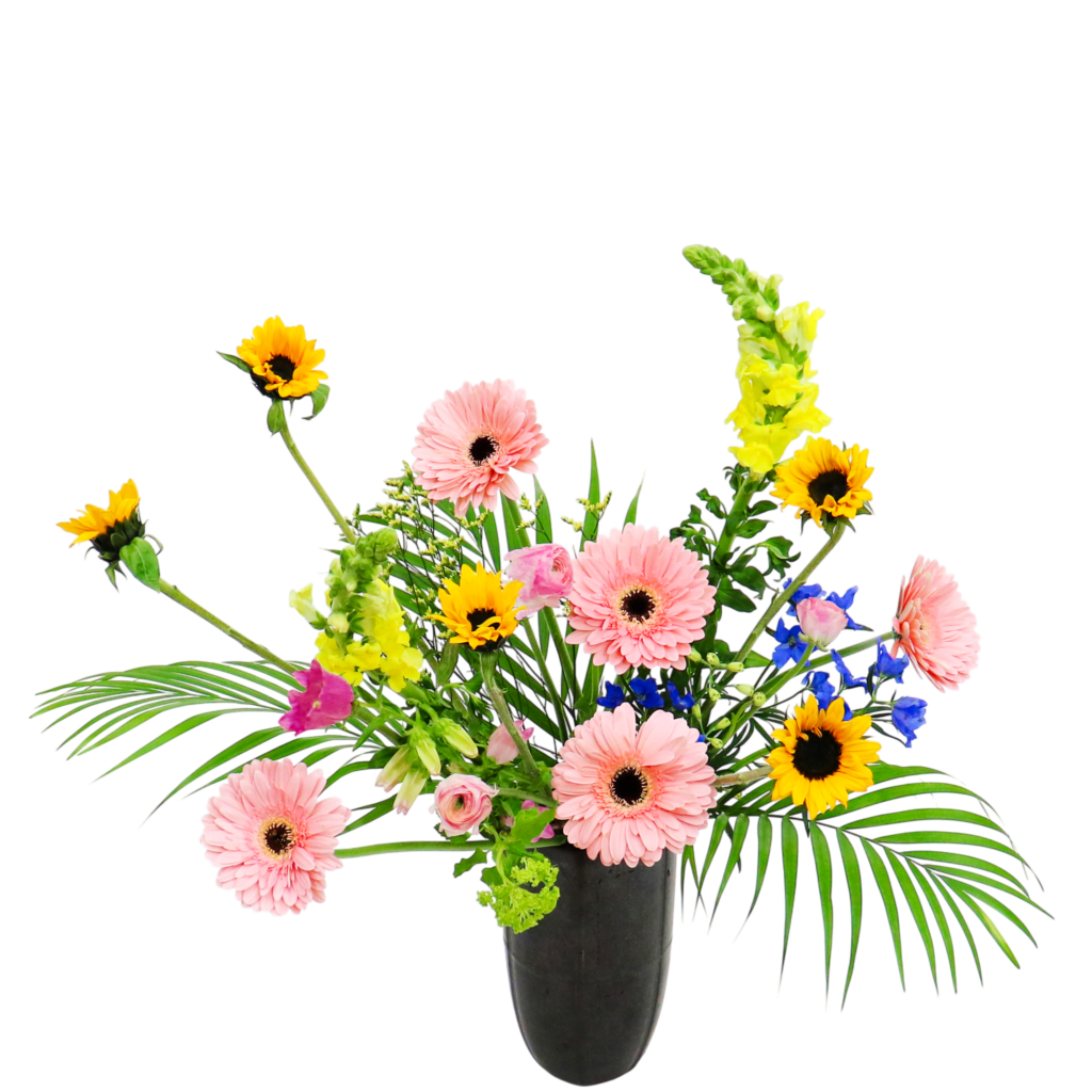 D.花瓶プレミアムコース [2026年2月 - 1回目]