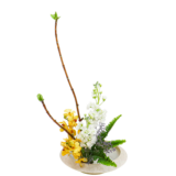 F.花瓶・水盤スターターコース [2026年2月 - 1回目]