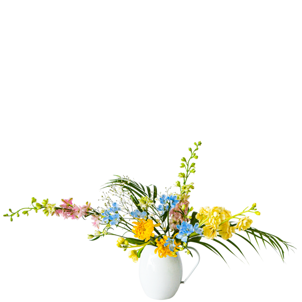 H.花瓶スタータープラスコース [2026年2月 - 1回目]