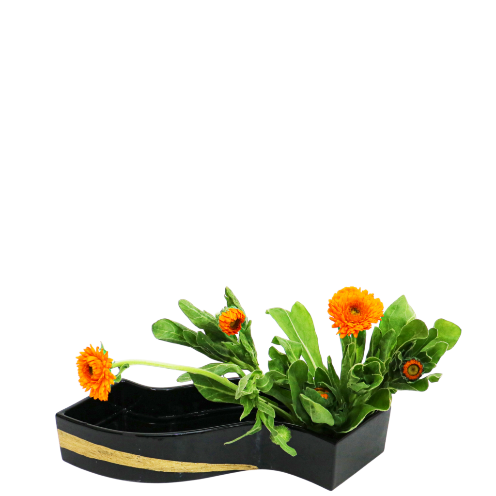 S.プラスONE 切り花S [2026年2月 - 1回目]