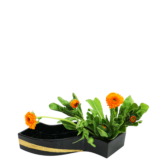 S.プラスONE 切り花S [2026年2月 - 1回目]