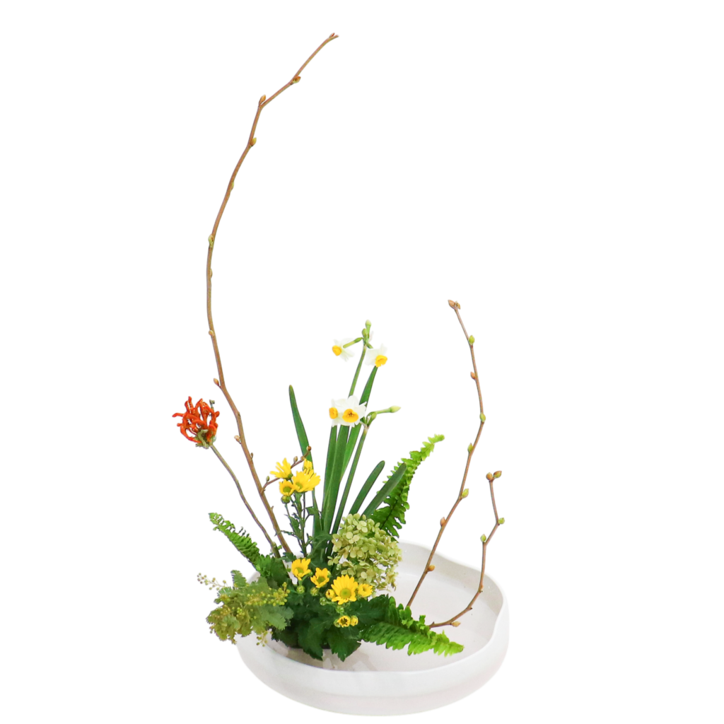 Z.水盤スタンダードコース [2026年2月 - 1回目]