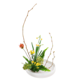 Z.水盤スタンダードコース [2026年2月 - 1回目]