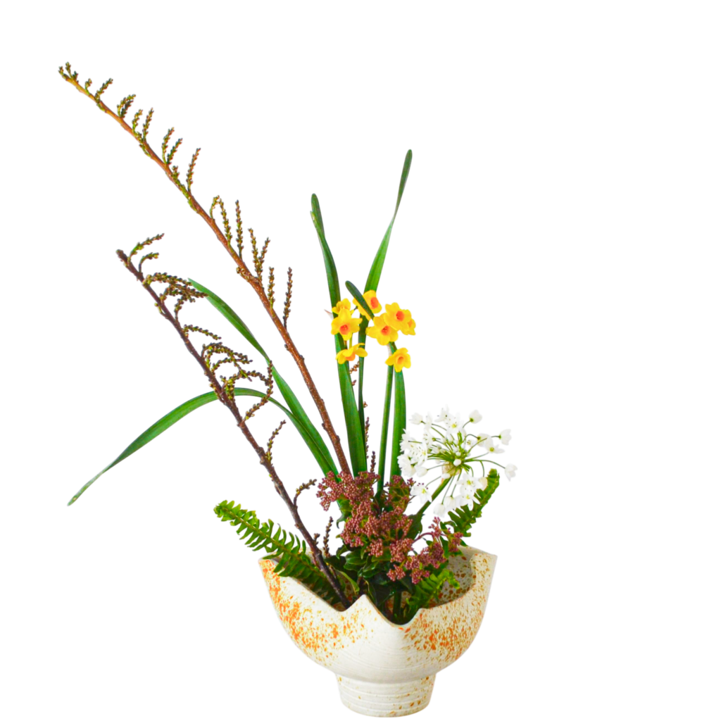 A.花瓶・水盤バラエティーコース [2026年2月 - 2回目]