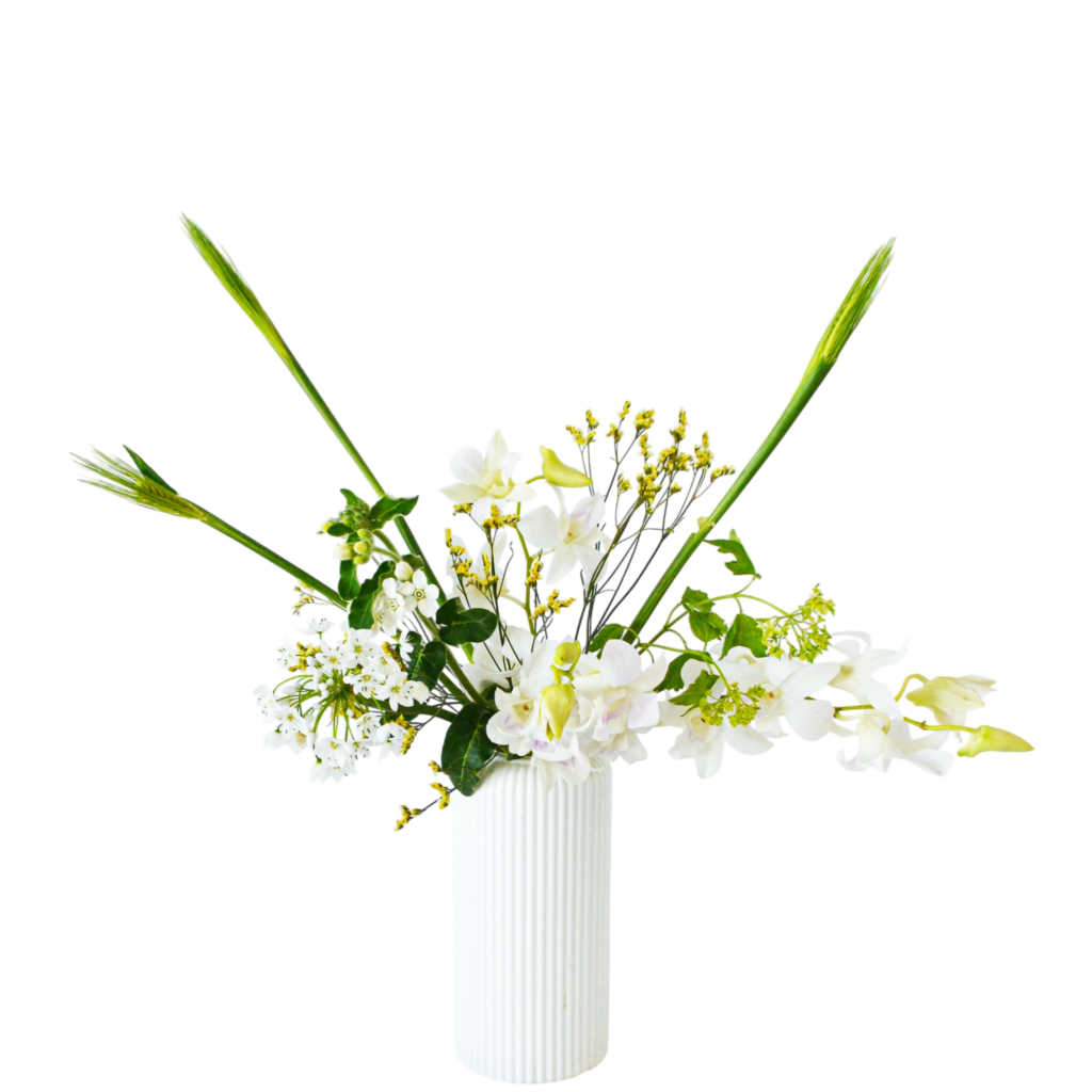 B.花瓶スターターコース [2026年2月 - 2回目]