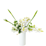 B.花瓶スターターコース [2026年2月 - 2回目]