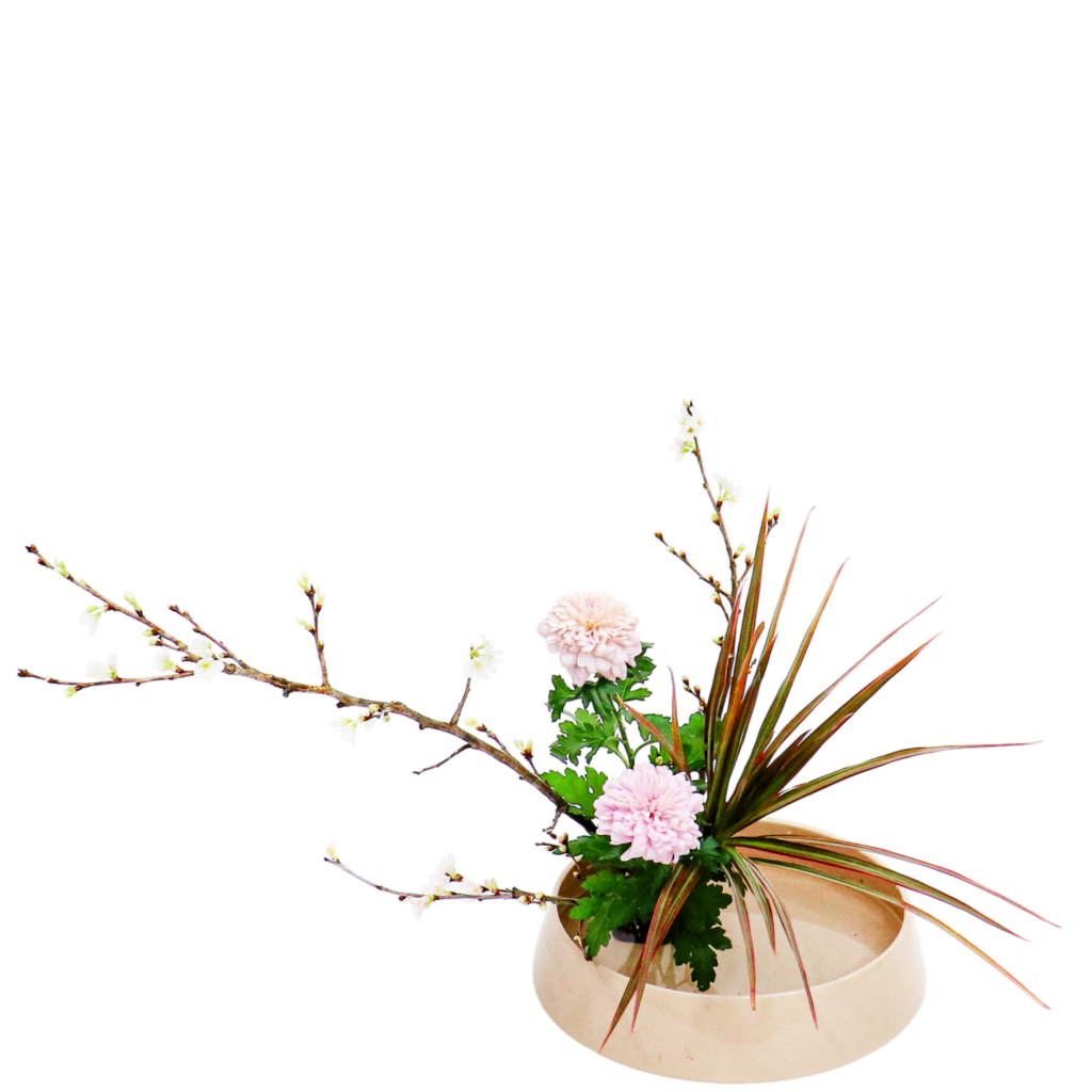 C.水盤スターターコース [2026年2月 - 2回目]