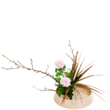 C.水盤スターターコース [2026年2月 - 2回目]