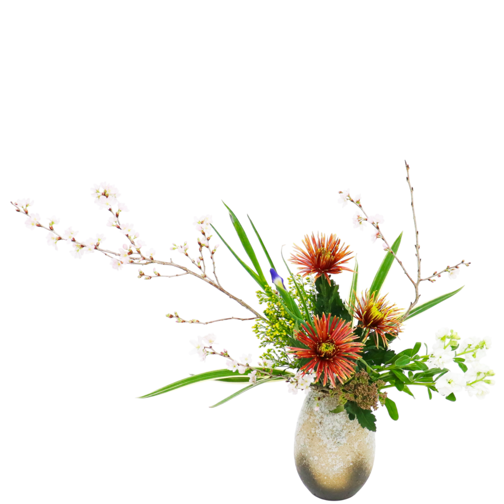 D.花瓶プレミアムコース [2026年2月 - 2回目]