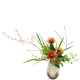 D.花瓶プレミアムコース [2026年2月 - 2回目]