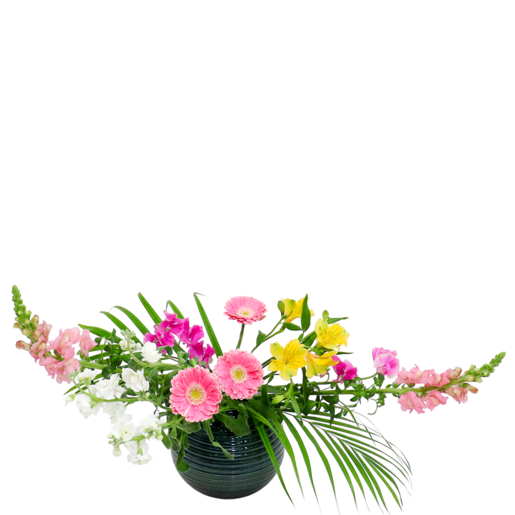 F.花瓶・水盤スターターコース [2026年2月 - 2回目]