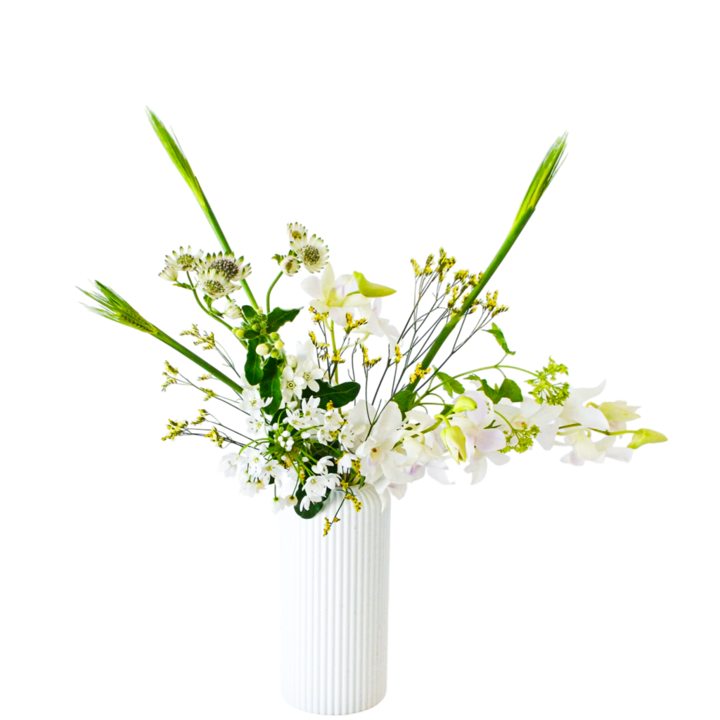 H.花瓶スタータープラスコース [2026年2月 - 2回目]