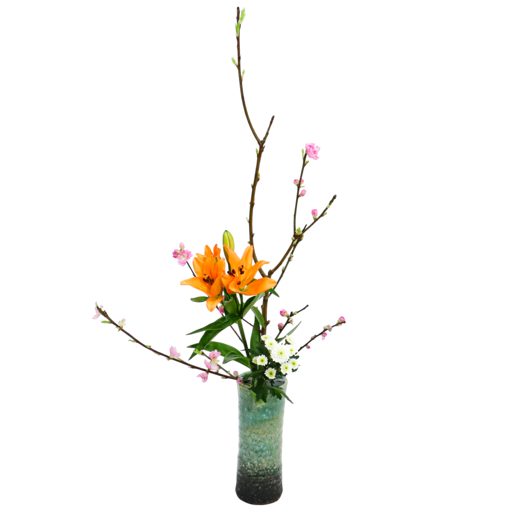 B.花瓶スターターコース [2026年2月 - 3回目]