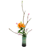 B.花瓶スターターコース [2026年2月 - 3回目]