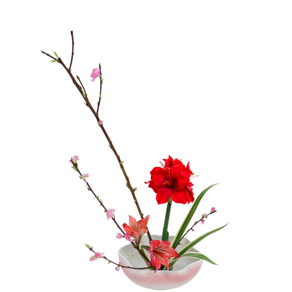 C.水盤スターターコース [2026年2月 - 3回目]