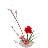 C.水盤スターターコース [2026年2月 - 3回目]