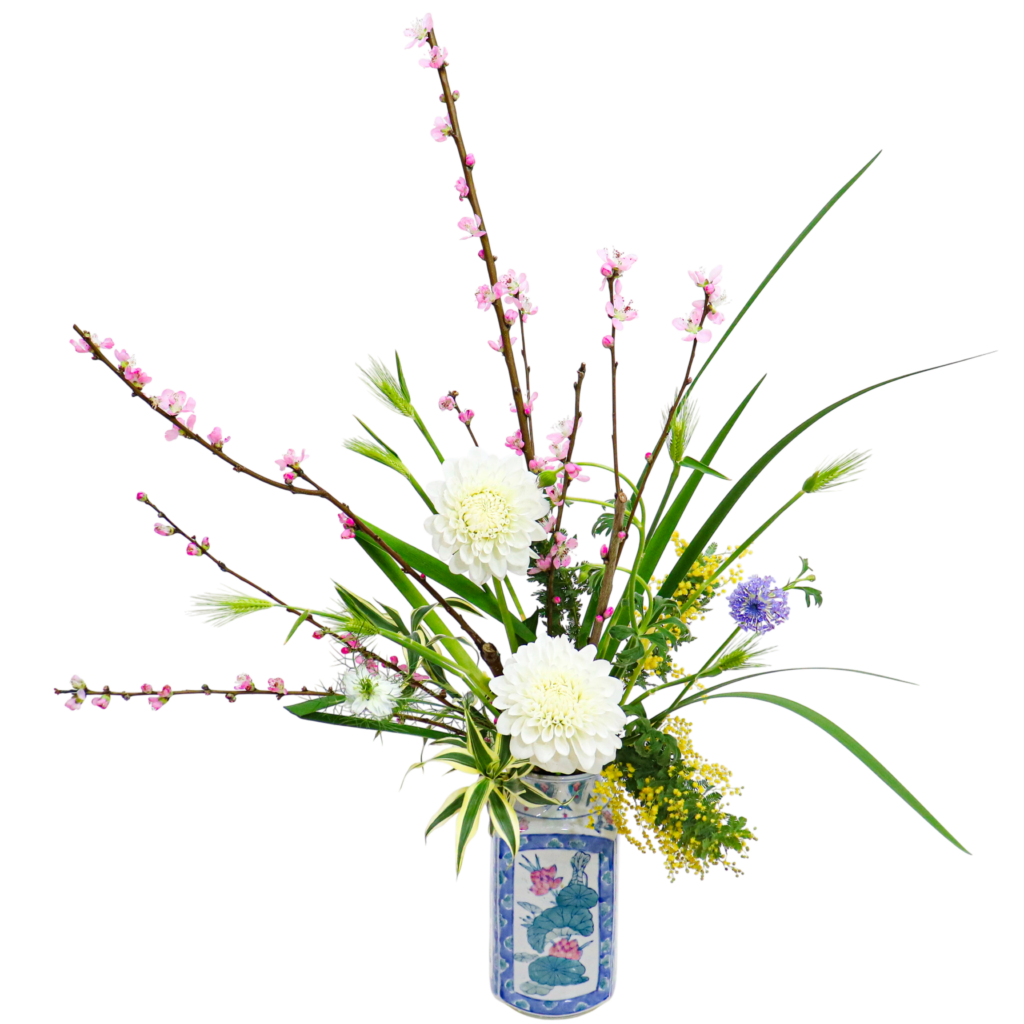 D.花瓶プレミアムコース [2026年2月 - 3回目]