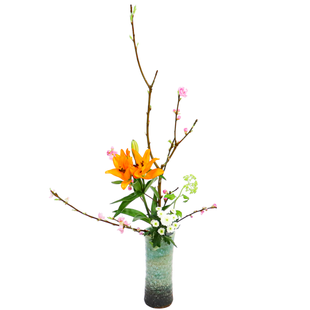 H.花瓶スタータープラスコース [2026年2月 - 3回目]