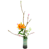 H.花瓶スタータープラスコース [2026年2月 - 3回目]