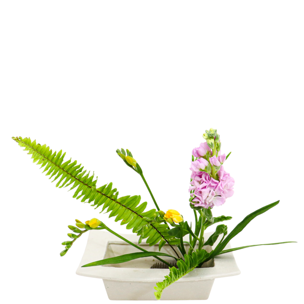 S.プラスONE 切り花S [2026年2月 - 3回目]