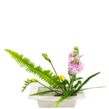 S.プラスONE 切り花S [2026年2月 - 3回目]