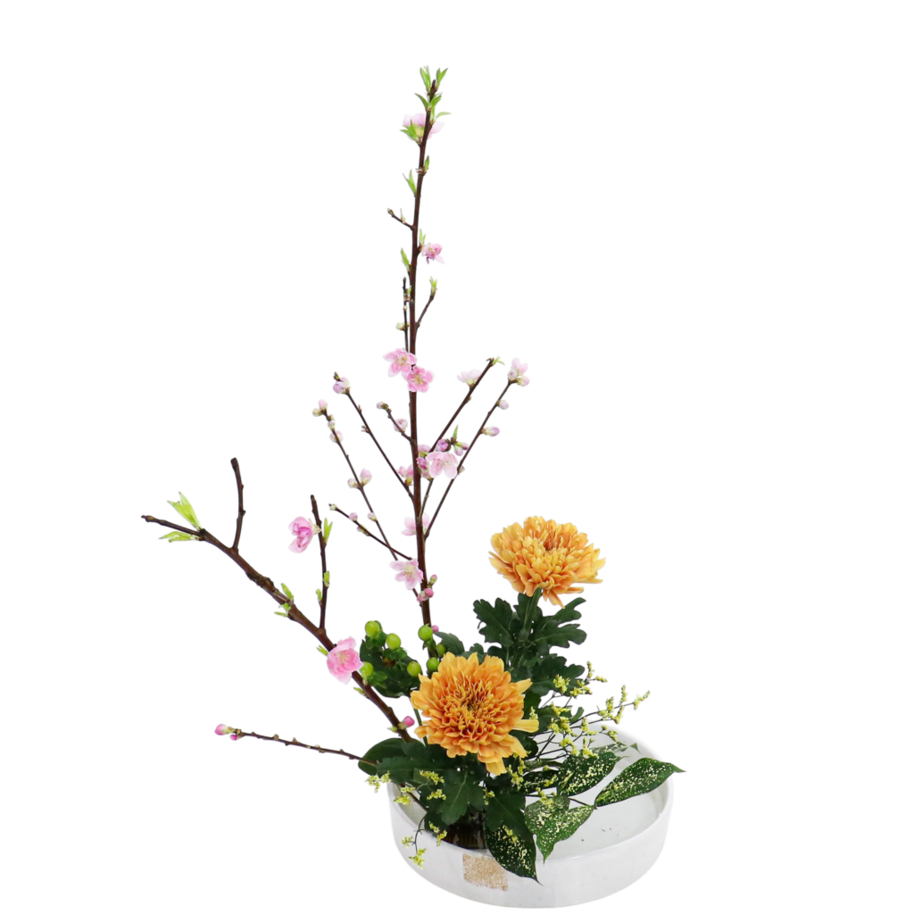 W.花瓶・水盤月2回コース [2026年2月 - 3回目]