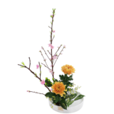 W.花瓶・水盤月2回コース [2026年2月 - 3回目]