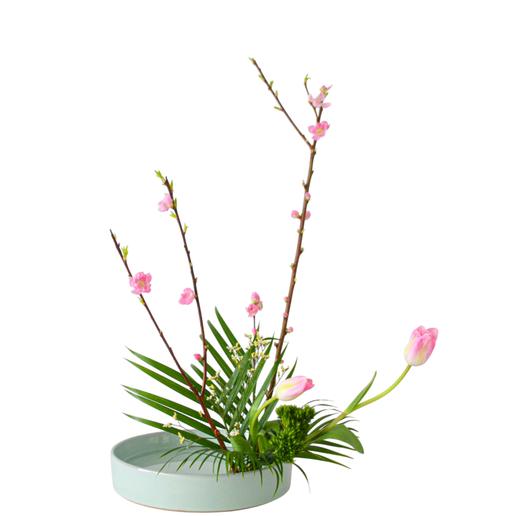 Z.水盤スタンダードコース [2026年2月 - 3回目]