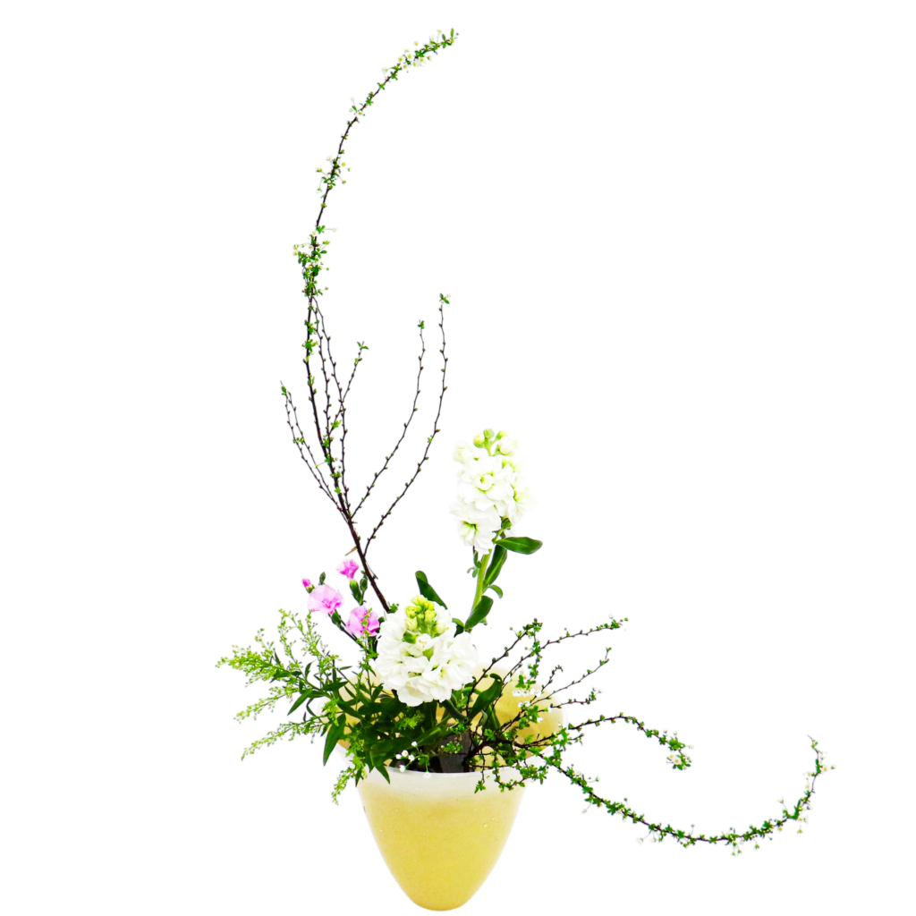 A.花瓶・水盤バラエティーコース [2026年2月 - 2回目]