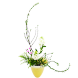 A.花瓶・水盤バラエティーコース [2026年2月 - 2回目]