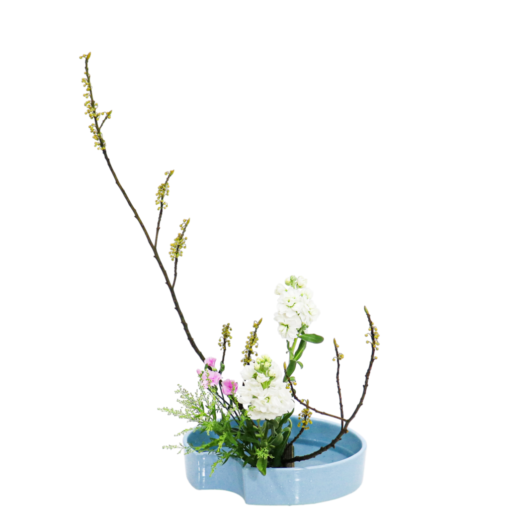 A.花瓶・水盤バラエティーコース [2026年2月 - 2回目]