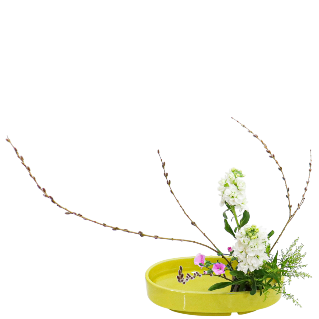 A.花瓶・水盤バラエティーコース [2026年2月 - 2回目]