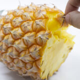 2026年 さんらいふ生活４月号