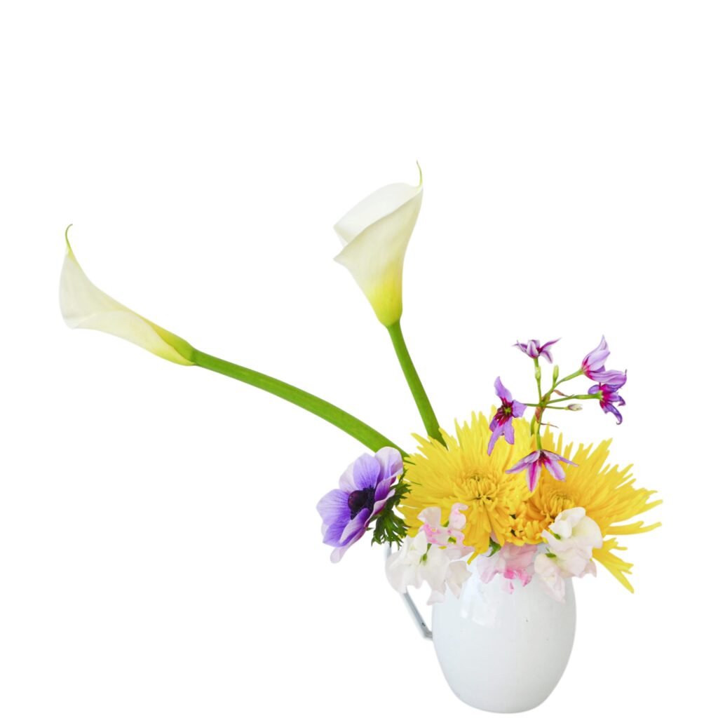 B.花瓶スターターコース [2026年3月 - 1回目]