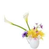 B.花瓶スターターコース [2026年3月 - 1回目]