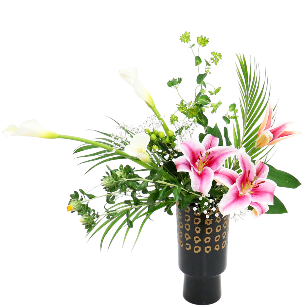 D.花瓶プレミアムコース [2026年3月 - 1回目]